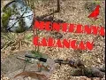 Download Lagu Berburu dekukur#bonus garangan MONSTER