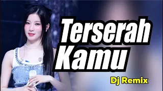 terserah kamu original song dj remix tiktok jedag jed