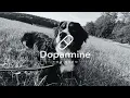 Camo & Krooked - No Way Out (feat. Mira Lu Kovacs) [Free Download]