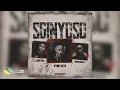 Vyno Keys & Fada Figa & Lowbass Djy - Sginyoso (Official Audio)