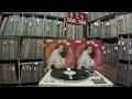 崔苔菁 Cui Taijing -- b1 野鴿子