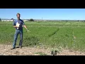 POST FD Nitrogen Fixation Studies Clain Jones