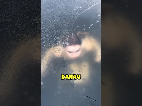 Karna sering berendam, Cewek ini dinobatkan jadi ratu es sesungguhnya