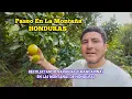 Aqui Si Hay Frutas Frescas En Las Montanas de Honduras Nos Fuimos Con Mi Mama