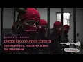 United Blood Nation EXPOSED Shocking History Structure Crimes You Didn t Know
