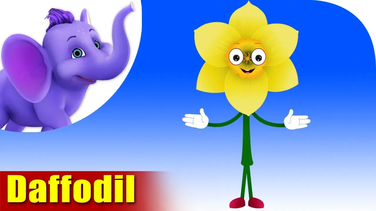Daffodil | Flower Song | 4K | Appu Series Daffodil | Flower Song | 4K | Appu Series