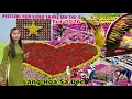 Lagu Làng Hoa Sa Đéc Tết 2026 tất bật Gấp Gút chuẩn bị lễ hội fetival Hoa Kiểng Sa Đéc Lần 2 