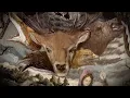HEIDEVOLK - Vinland (Official Lyric Video) | Napalm Records