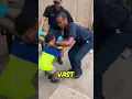 Download Lagu Hij kwam vast te zitten tussen de spijlen 😳