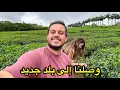 Download Lagu شهر العسل مستمر… وهذه المرة في موريشيوس 🇲🇺 From One Paradise to Another | Seychelles → Mauritius