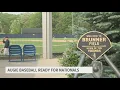 Augustana baseball heading back to Division III National Tournament