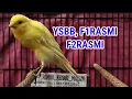 Download Lagu F2RASMI, F1RASMI, YSBB, BETINA SIAPAN TERNAK 