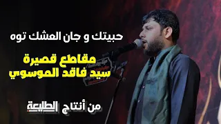 حبيتك و جان العشك توه سيد فاقد الموسوي مقاطع حسينية قصيرة 