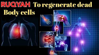 Download POWERFUL RUQYAH TO REGENERATE BODY CELLS DEAD DUE TO JINN, MAGIC AND EVIL EYE/ REBIRTH VERSES . MP3