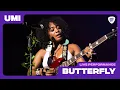 UMI - Butterfly (Live Performance at the Insignia Concert Series - 2023)