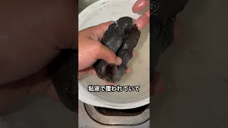 ウーパールーパーの正しい食べ方