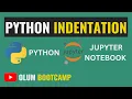 Python Indentation Python Tutorials for Beginners