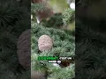 Download Lagu Découvrez les secrets météo oubliés des agriculteurs !