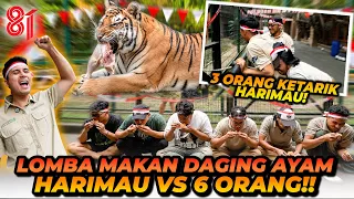 HARI KEMERDEKAAN INDONESIA! LOMBA MAKAN AYAM LAWAN HARIMAU!