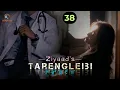 Lagu TARENGLEIBI -(38) / ZIYAAD / RINDA
