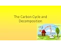 The Carbon Cycle and Decomposition Quiz GCSE Science OCR Gateway