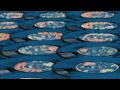 Stan Getz - Moonlight In Vermont