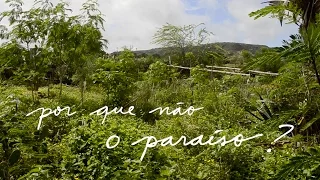 Por que não o paraíso? - Documentário com Marsha Hanzi