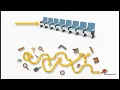 Arrays vs Linked Lists