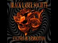 Ozzy's Song - Black Label Society