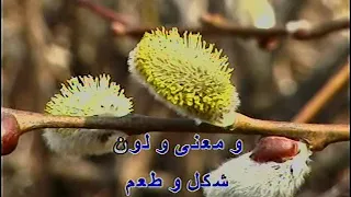 بحبك محى وشرين كاريوكى Ahmed Disco 