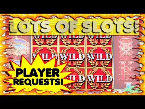 Download MP3 Wild Reels with MULTIPLIER!! Big Slot Selection 🎰