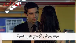 مراد يعرض الزواج على حسرة   بائعة الورد الحلقة    دندنها