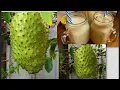 Soursop Juice Cancer Fighting Fruit Healthy Delicious