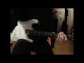 Hammock- I Can Almost See You guitar cover