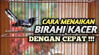 Download CARA MENAIKAN BIRAHI KACER DENGAN CEPAT DAN TEPAT MP3