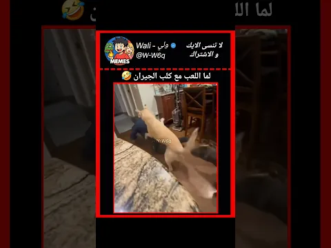 الكلب تجنن 🐕☠️☠️