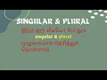 Nouns Singular Plural English Grammar Composition
