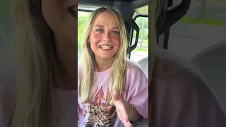 Miss Snowwolf JKU latest most funny of the day