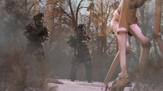                                   دندنها