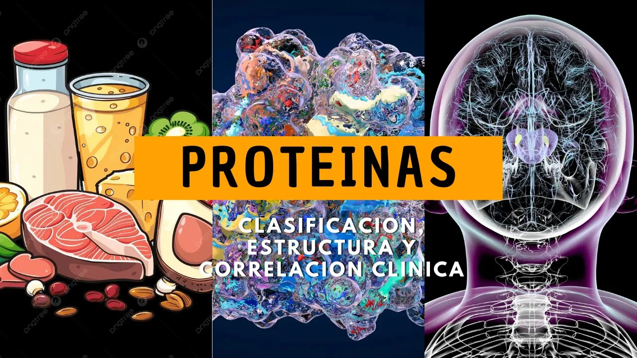 Proteinas (Características, Clasificacion y Correlaciones clínicas). Bioquimica