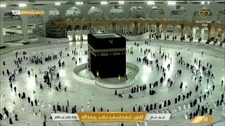 سورة عبس بصوت القارئ أحمد محمد عامر دندنها