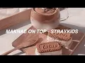 Download Lagu STRAY KIDS \