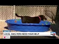 Tri-State animal shelters need your help