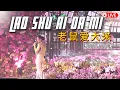 Download Lagu Lao Shu Ai Da Mi《老鼠爱大米》Desy Huang 黄家美