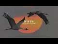 Download Lagu imagine dragons - birds (slowed + reverb)