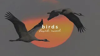 Download imagine dragons - birds (slowed + reverb) MP3