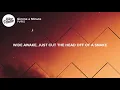 PVRIS - Gimme a Minute (Lyrics)