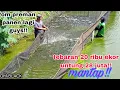 Download Lagu Luar biasa om preman sudah panen lagi guys ..tebaran 20 ribu untung 28 juta mantap