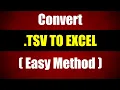 How to Convert - TSV to Excel