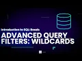 Advanced Query Filters Wildcards